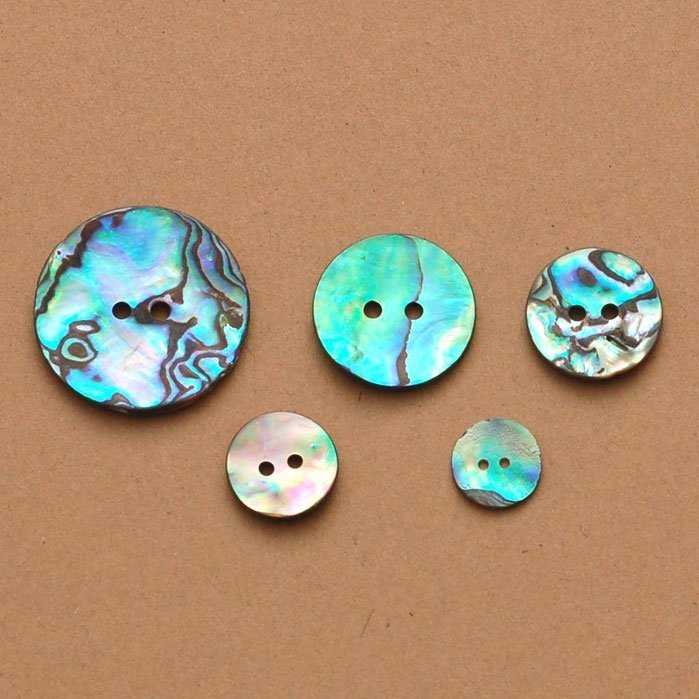 Abalone Buttons for blouses