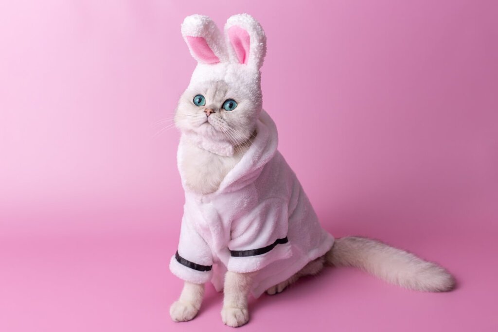 Trendy Pet Clothes Patterns For Pet Fashion Lovers